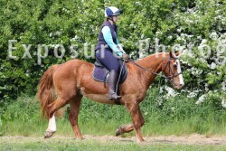 ADE48717a.jpg ADE48717a.jpg