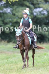 ADE49521a.jpg