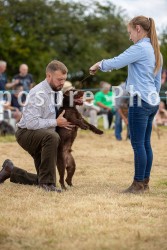 A&WHSC Terrier, Lurcher & Family Dog Show 9th July 2023