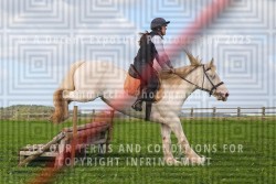 ADE29653a.jpg